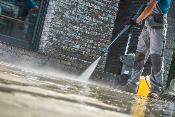 Best Fence Cleaning and Maintenance in George West, TX
